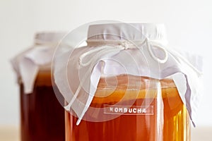 Kombucha healthy natural probiotic in a glass jar