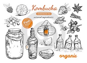 Kombucha homemade tea collection. Vector hand drawn illustration.