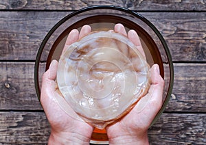 Kombucha mushroom pro biotic in unrecognizable man photo