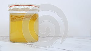 Kombucha scoby ferments in a glass photo