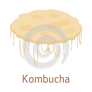 Kombucha SCOBY mushroom on a white background photo