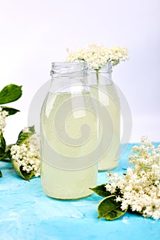 Kombucha tea with elderflower flower on blue background