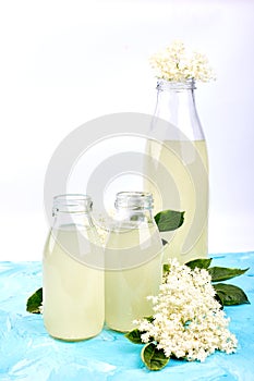 Kombucha tea with elderflower flower on blue background