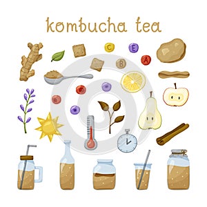 Kombucha tea flat hand drawn set