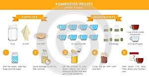 Kombucha tea recepie, vector