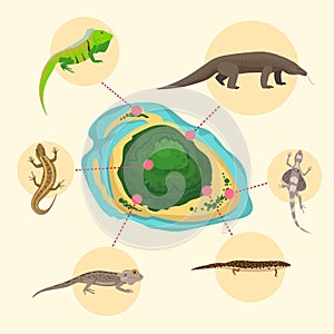 Komodo dragon, American Sand lizard, exotic reptiles monitor on exotic island. Wild animals lacertian in nature. Vector