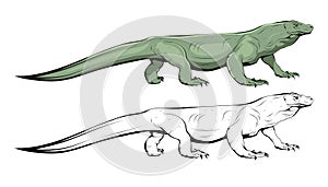 Komodo lizard. Illustration of varan. Komodo dragon.