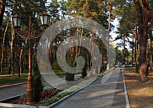 Komsomolsk Gorishni Plavni. Along the alleys of the city park photo