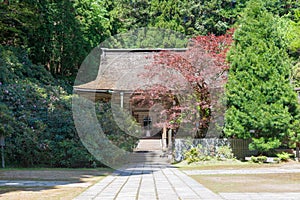 Kongo Sanmai-in Temple in Koya, Wakayama, Japan. Mount Koya is UNESCO World Heritage Site- Sacred