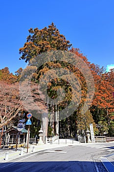 Kongobu-ji Okuno-in Okunoin Cemetery at Koyasan, Koya,