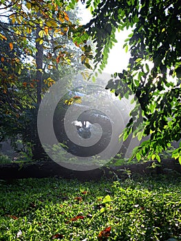 Konservation and recreation - wood - enclosure