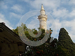 Konya Mevlana madrasa mosque, hes the only cleric arrived in this world no matter what, thinker