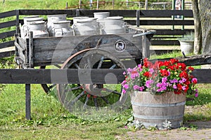 Koog aan de Zaan, Netherlands. July 2022. Old milk cans at a farm in Koog aan de Zaan.