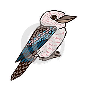 Kookaburra Aussie bird color vector character side view