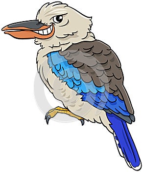 Kookaburra bird animal character cartoon illustration