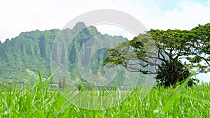 Koolau mountains viewed across Kaneohe Bay on Windward Oahu Hawaii