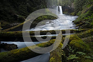 Koosah Falls Waterfall - Willamette National Forest - Oregon