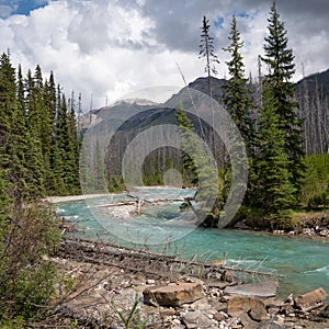 Kootenay National Park, British Columbia, Canada