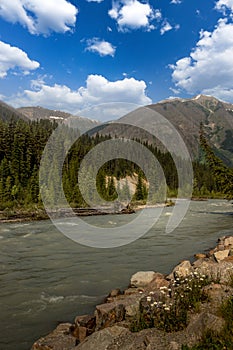 Kootenay River to Numa Falls Kootenay National Park British Columbia Canada