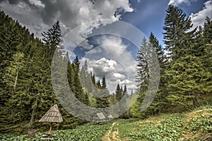 Kopaonik mountain in Serbia