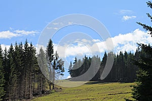 Kopaonik mountain in Serbia. Scenic view at Kopaonik mountain in Serbia