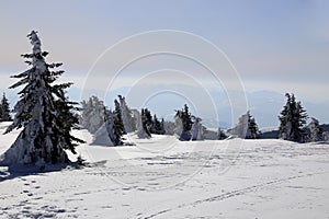 Kopaonik mountain in winter, Serbia