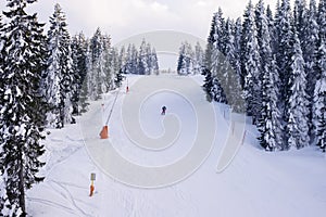 Kopaonik ski slope