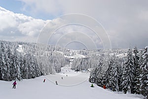 Kopaonik ski slope photo