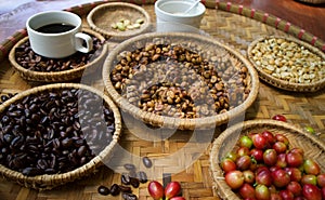 Kopi luwak or civet coffee