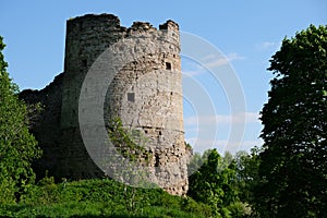 Koporye fortress in summer. monument of Russian medieval defensive architecture