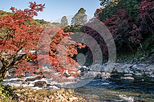 Korankei and Tomoe river in autumn , Aichi Prefecture, Nagoya, Japan