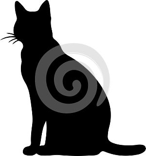 Korat Cat Black Silhouette Generative Ai