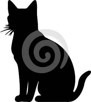 Korat Cat Black Silhouette Generative Ai