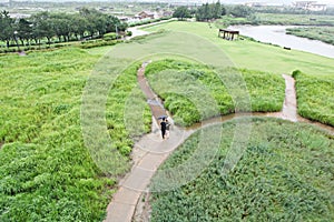 korea ecological park