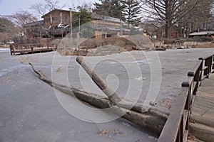 Korea nami Island pond frozen Koisk