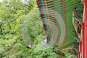 Korea Traditional Architecture Roof