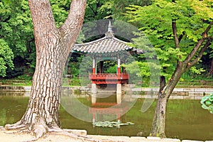 Korea UNESCO World Heritage - Seoul Changdeokgung Palace