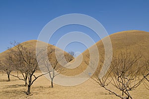 Korean Burial Mounds. photo