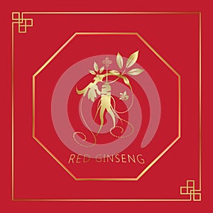 Korean or Chinese red ginseng root, Text label in Korean cultivated ginseng. Ginseng symbol for Korean cosmetics, Chinese medicine