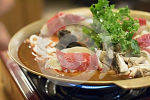 Korean dumpling stew, mandu-jeongol photo