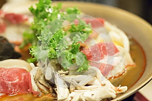 Korean dumpling stew, mandu-jeongol photo