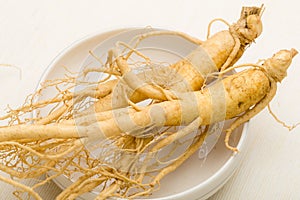 Korean fresh ginseng
