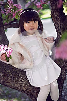 Korean girl in a white light fur coat and a headband sitting on a tree branch in a garden with cherry blossoms