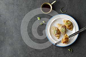 Korean Kimchi Dumplings on Plate