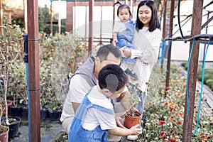 Korean man and his charming wife with cute children are buying green planters home