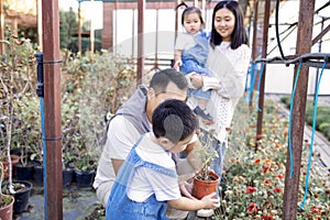 Korean man and his charming wife with cute children are buying green planters home photo