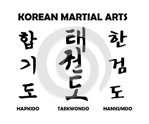 Korean martial arts photo