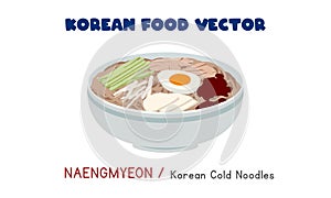 Korean Naengmyeon - Korean Cold Noodles flat vector illustration clipart cartoon. Asian food. Korean cold noodle soup vector