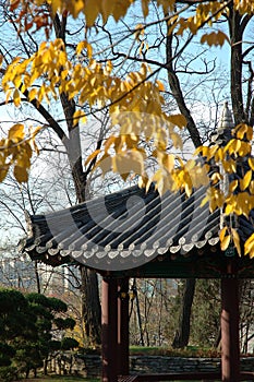 Korean pavilion among trees in Seoul