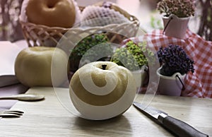 Korean pear put on background